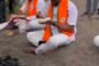 विदर्भाच्या पंढरीत कार्तिक पौर्णिमेनिमित्त भव्य यात्रा                                         पवित्र स्नानासाठी केली भाविकांनी गर्दी
