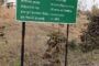 मारेगाव येथे कलावंत मार्गदर्शन मेळावा                             **अखिल भारतीय कलावंत न्याय हक्क समितीचे आयोजन** **आमदार संजय दरेकर यांचाही होणार सत्कार