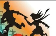 अल्पवयीन मुलीला फूस लावून पळविले